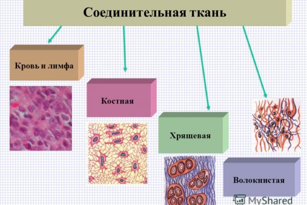 Ссылка на кракен официальный
