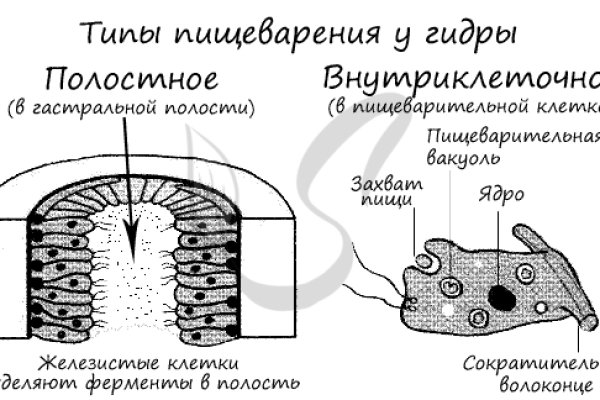 Скачать кракен тор