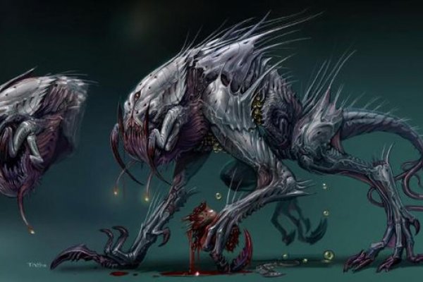 Hydra маркетплейс