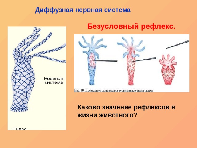 Кракен перестал работать