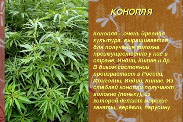 Кракен 12 сайт